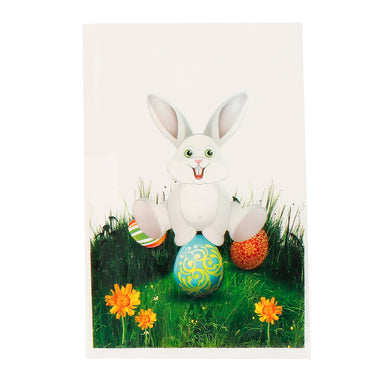 🐰 Bolsa de Celofán Conejo 30x20 cm – Pack de 10 Unidades