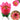 Vela Flor de Loto Musical