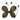 Set Alas Calavera