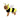 Disfraz Perro Abeja