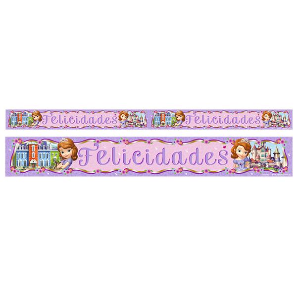 BANNER METALICO PRINCESA SOFIA