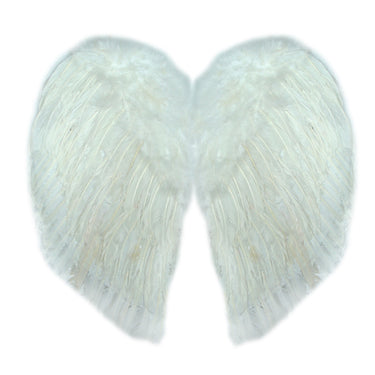 Alas Angel Pluma 60*50